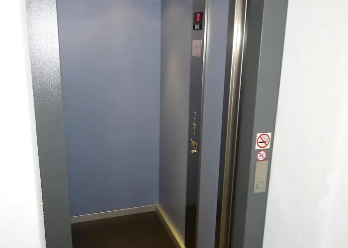 Rebenzauber Deidesheim